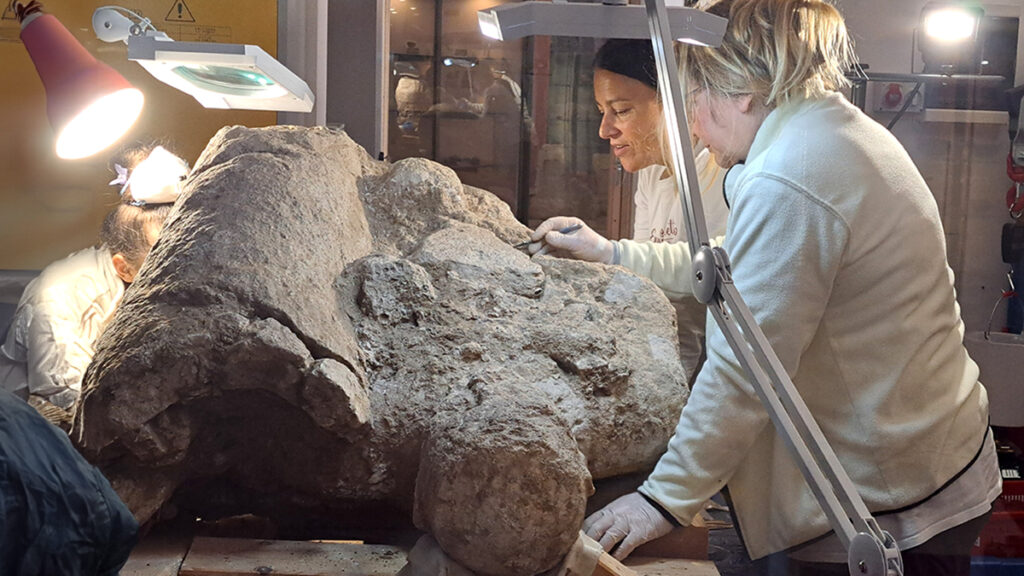 I lavori di restauro delle sculture rinvenute nelle campagne di scavo 2014 e 2016 possono essere seguiti in presa diretta dai visitatori del Museo Marongiu.